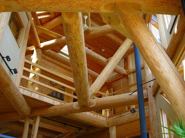 �����ӥ󥰤ο᤭ȴ��